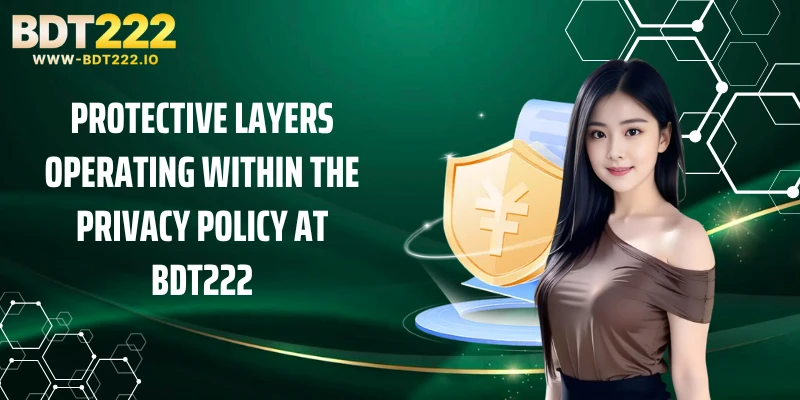 Protective Layers Operating Within the Privacy Policy at BDT222
