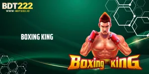 Boxing King BDT222 Dominates With Massive Winning Streaks